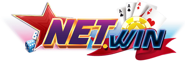 netwin